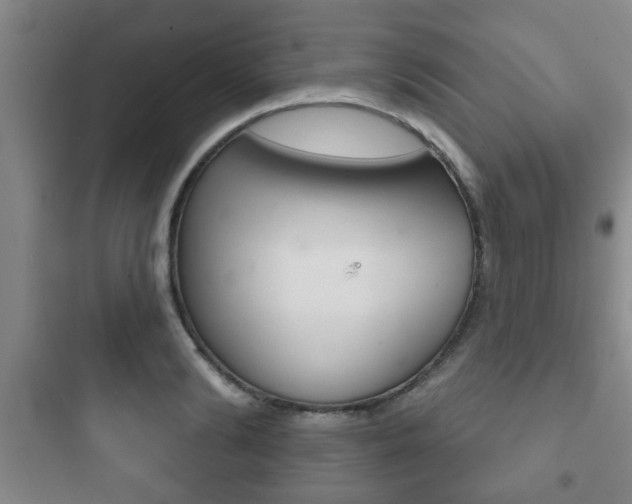 X0000097950894200803241016