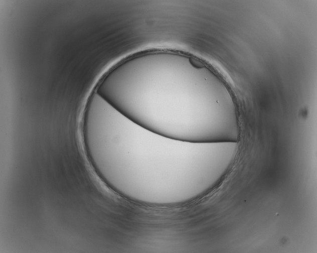 X0000097950895200803241016