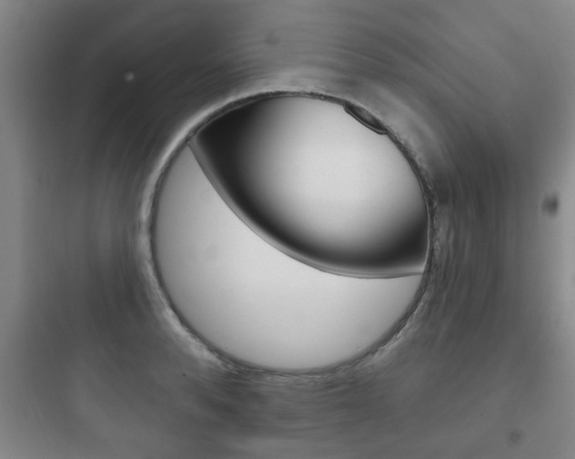 X0000097950896200803241016