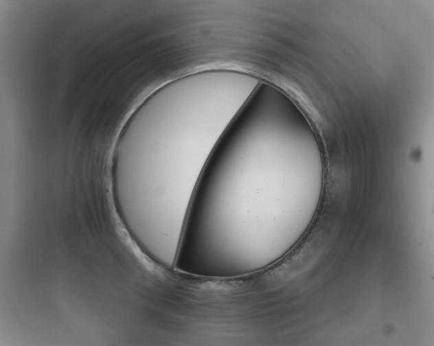 X0000097950898200803241016