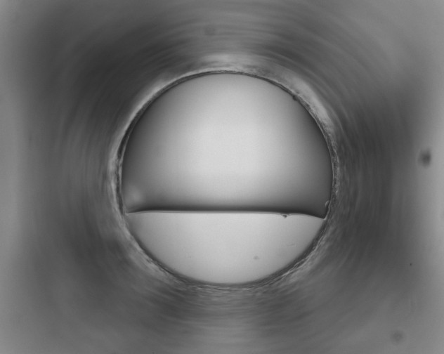X0000097950899200803241016