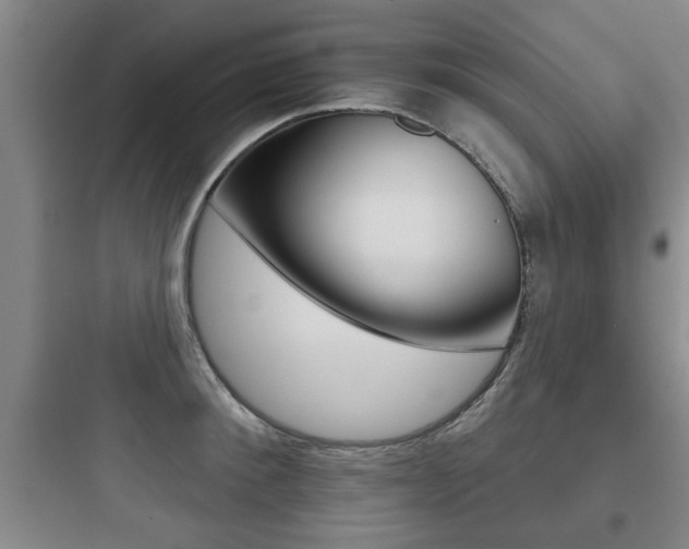 X0000097950900200803241016