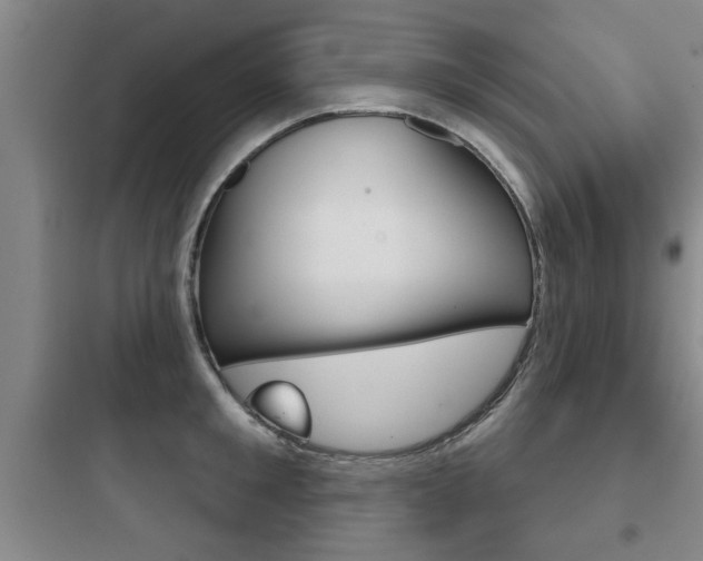 X0000097950901200803241016