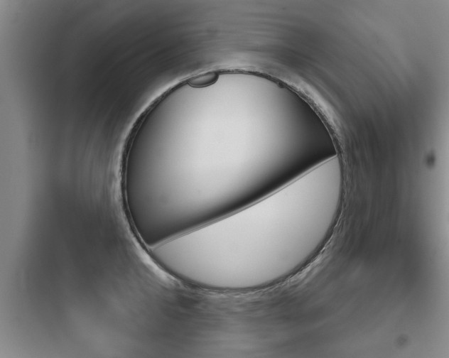 X0000097950902200803241016