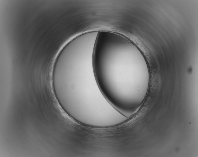 X0000097950904200803241016