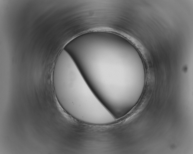 X0000097950905200803241016