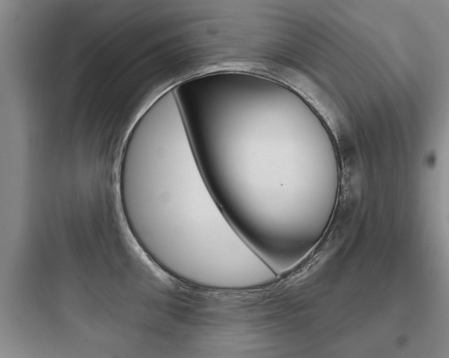 X0000097950906200803241016