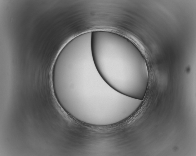 X0000097950907200803241016