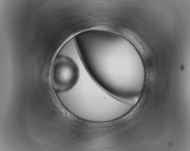X0000097950908200803241016