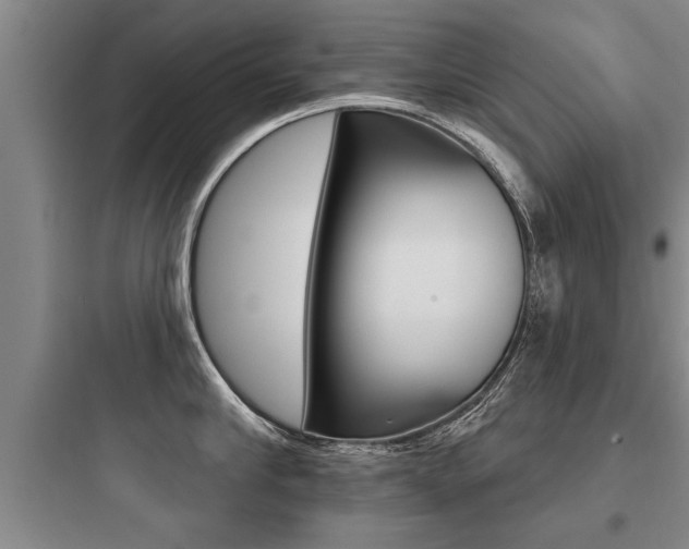 X0000097950910200803241016
