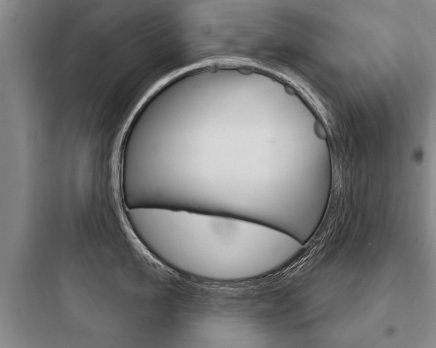 X0000097950911200803241016
