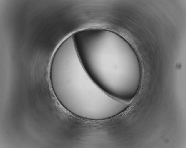 X0000097950912200803241016
