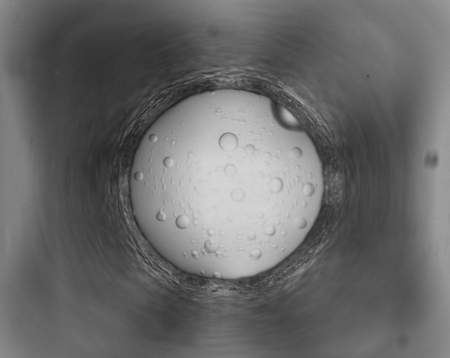 X0000097950913200803241015