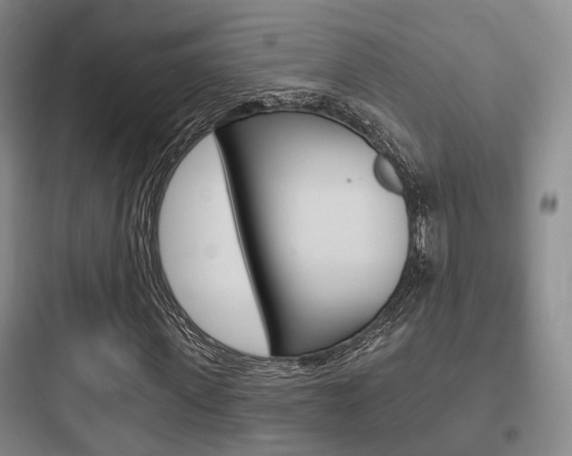 X0000097950915200803241015