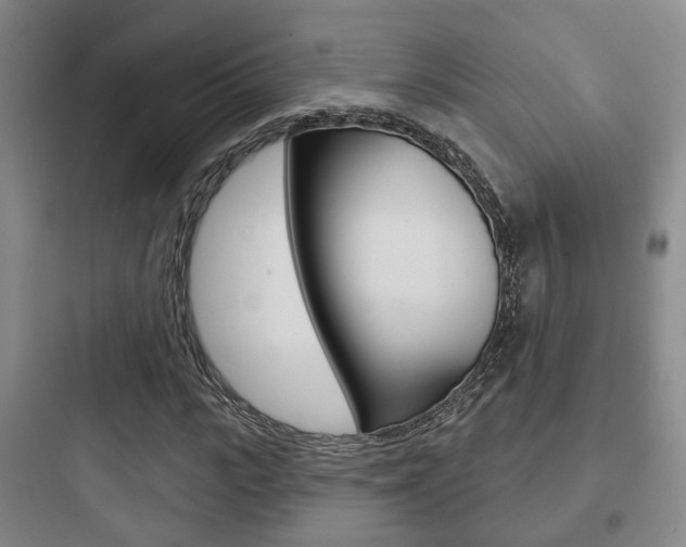 X0000097950919200803241015