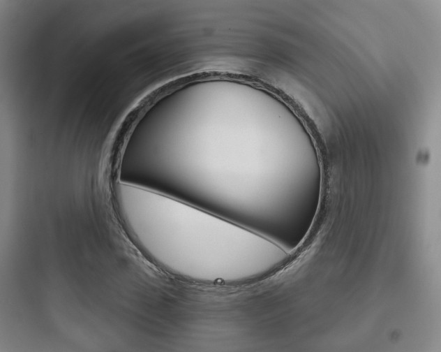 X0000097950923200803241015