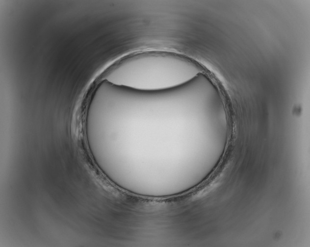 X0000097950925200803241015