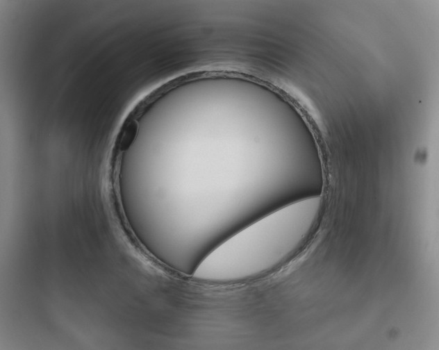 X0000097950928200803241015