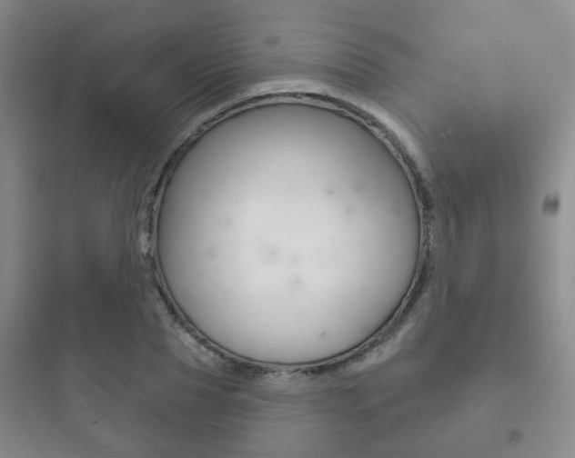 X0000097950929200803241015