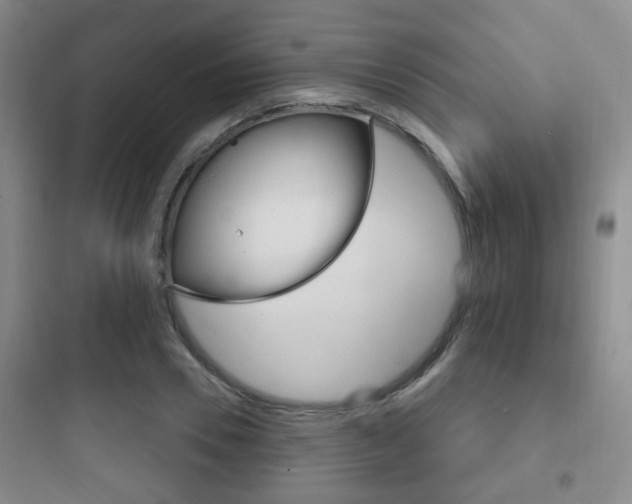 X0000097950930200803241015