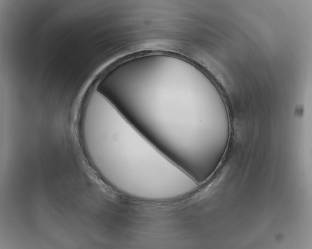 X0000097950931200803241015
