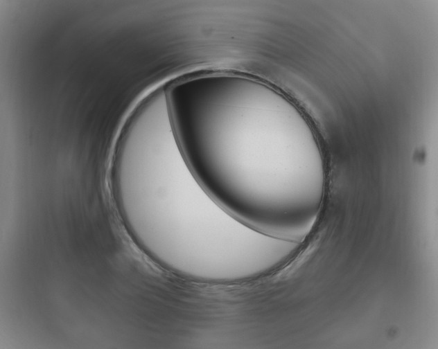 X0000097950932200803241015