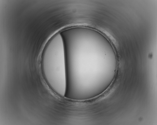 X0000097950933200803241015