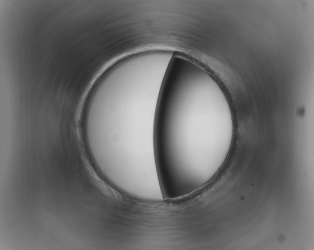 X0000097950934200803241015