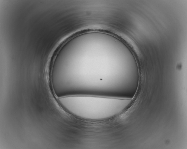 X0000097950935200803241015