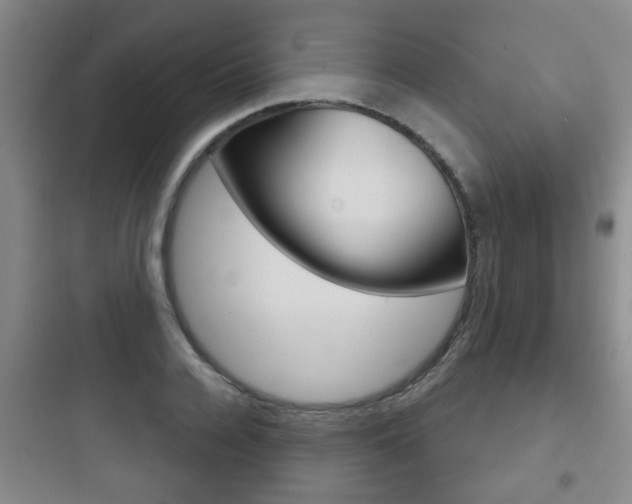 X0000097950936200803241015