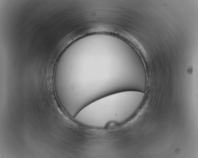 X0000097950937200803241015