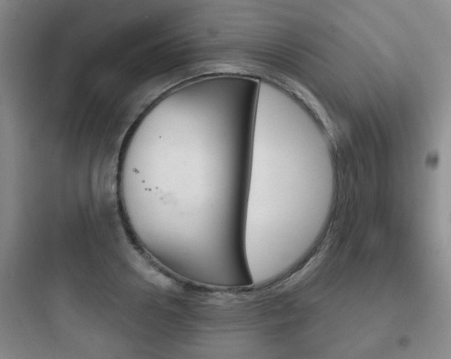 X0000097950938200803241015