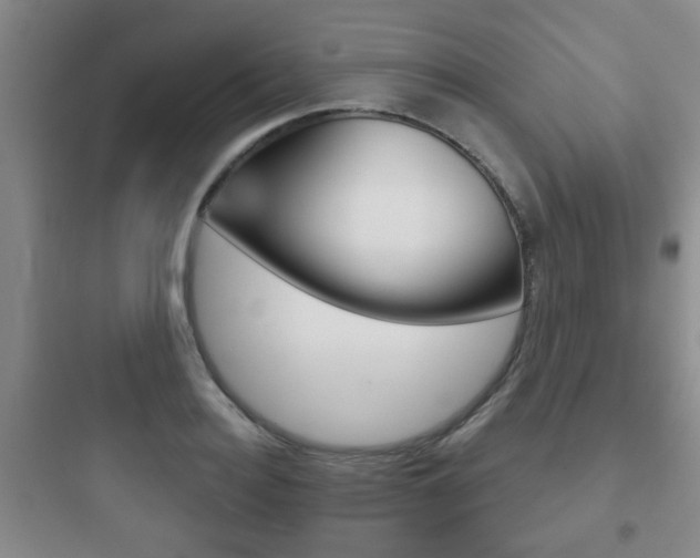X0000097950940200803241015