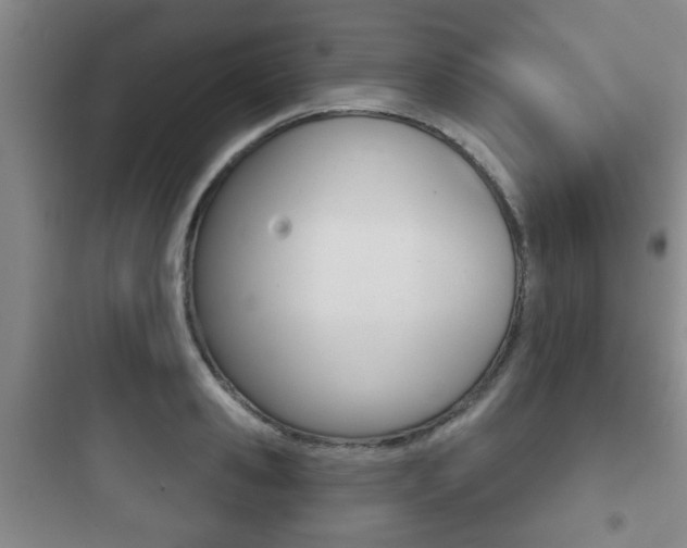 X0000097950941200803241015