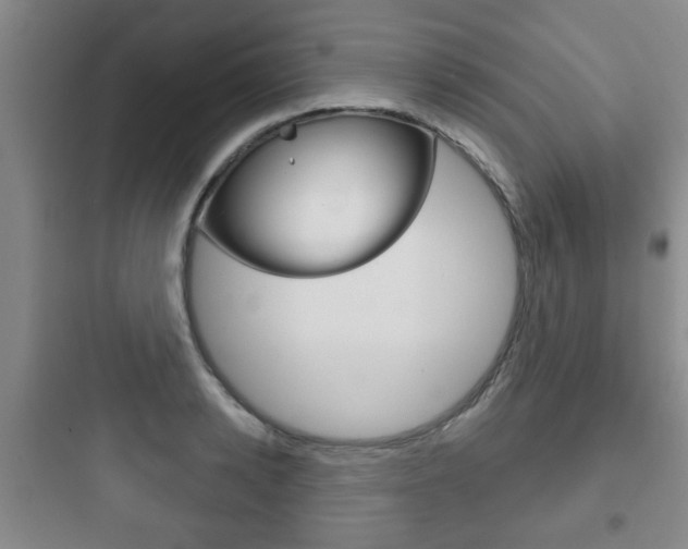 X0000097950942200803241015