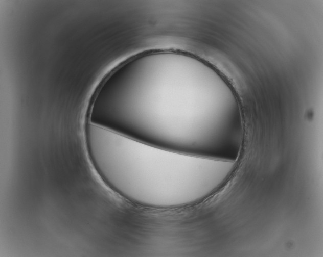 X0000097950943200803241015
