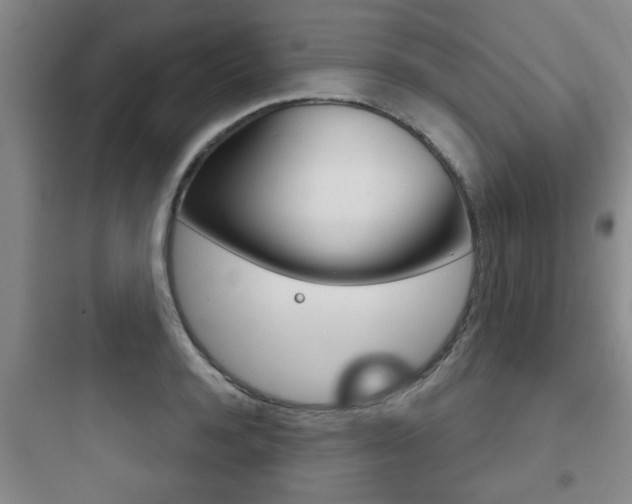 X0000097950944200803241015