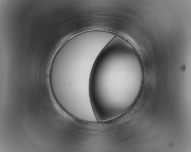X0000097950946200803241015