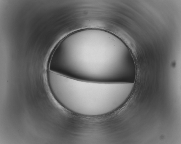 X0000097950947200803241015