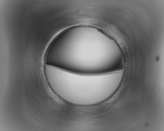 X0000097950948200803241015