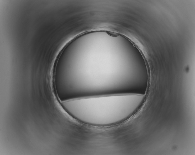 X0000097950949200803241015