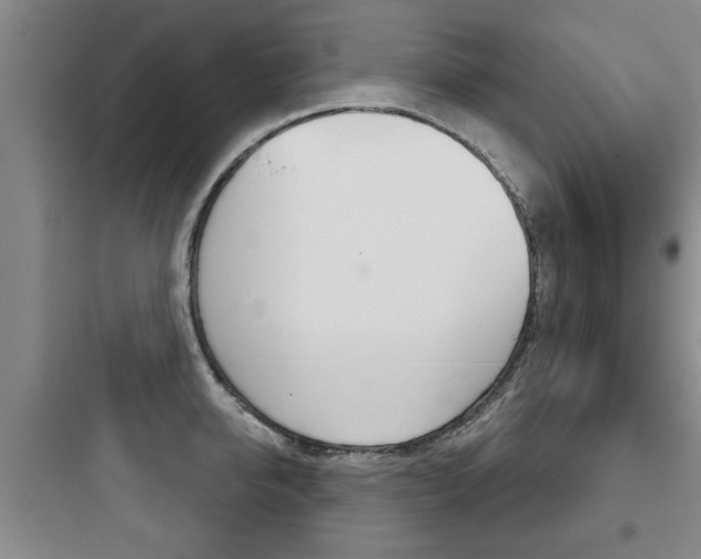 X0000097950950200803241016