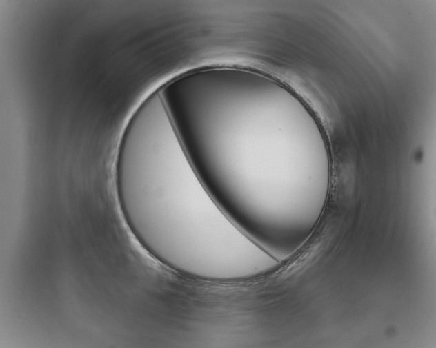 X0000097950951200803241016
