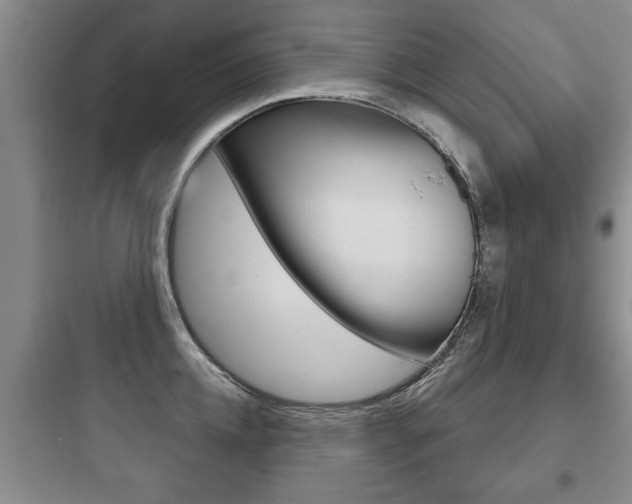 X0000097950952200803241016