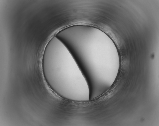 X0000097950954200803241016
