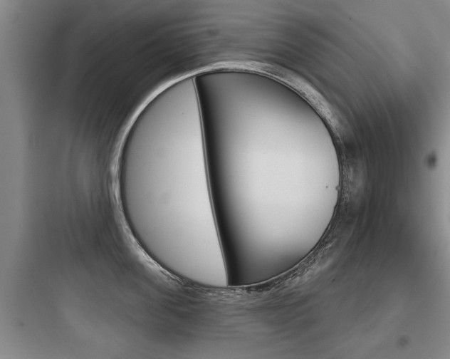 X0000097950955200803241016