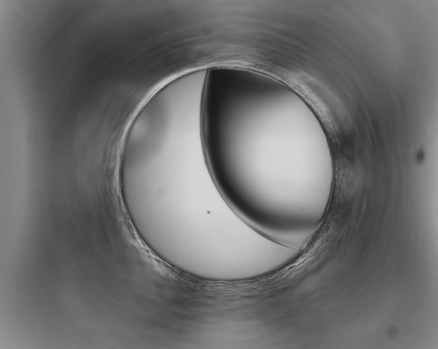 X0000097950956200803241016