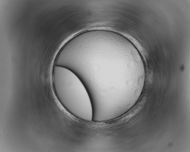 X0000097950957200803241016