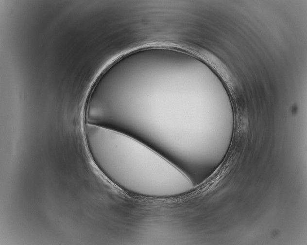 X0000097950958200803241016