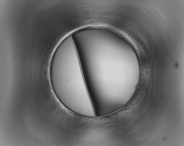 X0000097950959200803241016